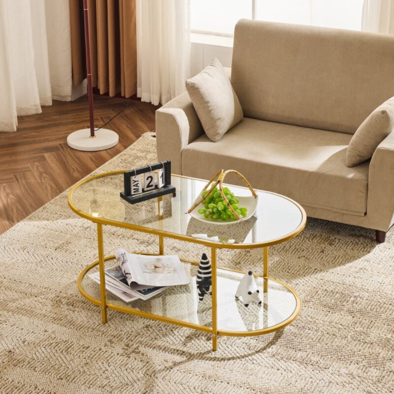 1(29) Modern 2-Tier Oval Glass & Metal Coffee Table