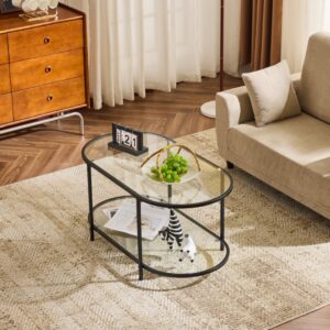 4(28) Modern 2-Tier Oval Glass & Metal Coffee Table