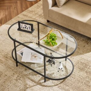 5(21) Modern 2-Tier Oval Glass & Metal Coffee Table
